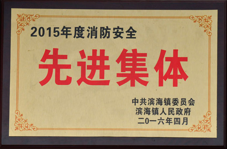 2015年度消防安全先进集体