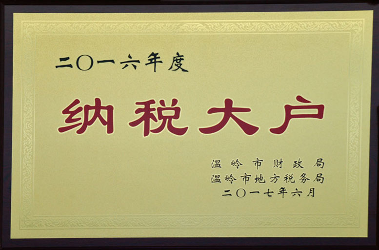 2016年度纳税大户