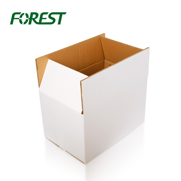 <div>Corrugated Mailing Shipping Carton Box</div>